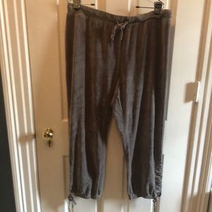 Venus velour joggers